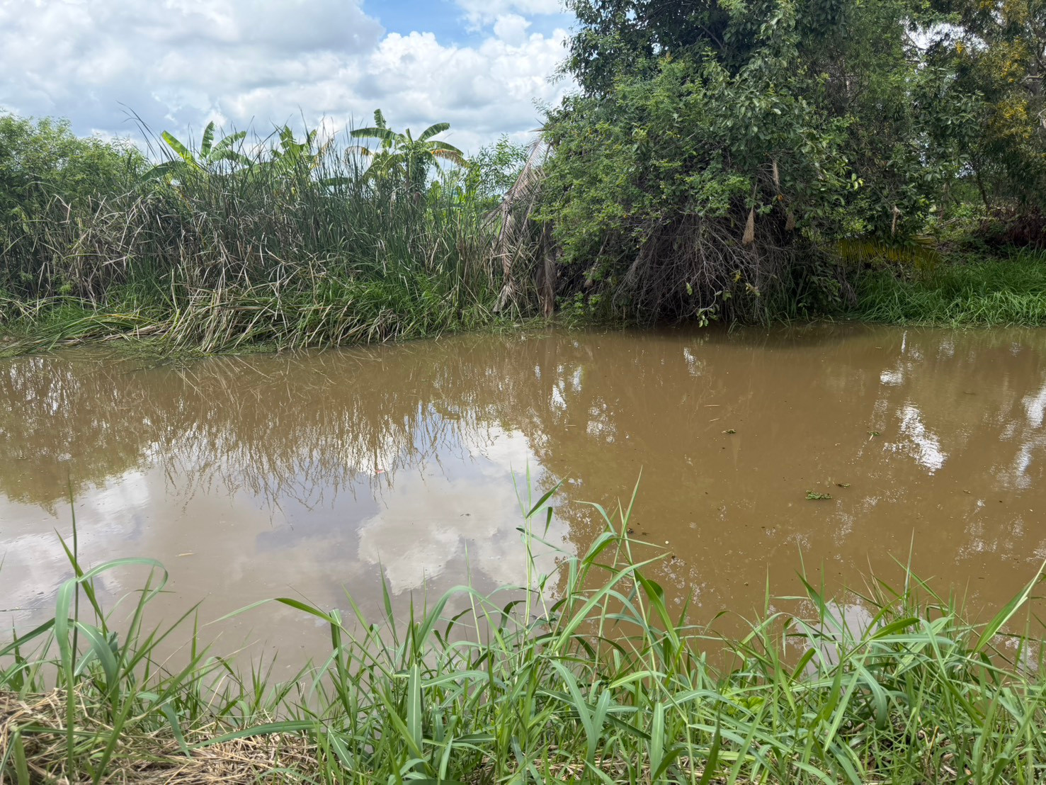Land for sale, 1 rai, next to a water canal, already filled in, Khlong 11, Nong Suea, Pathum Thani. – รูปที่ 2
