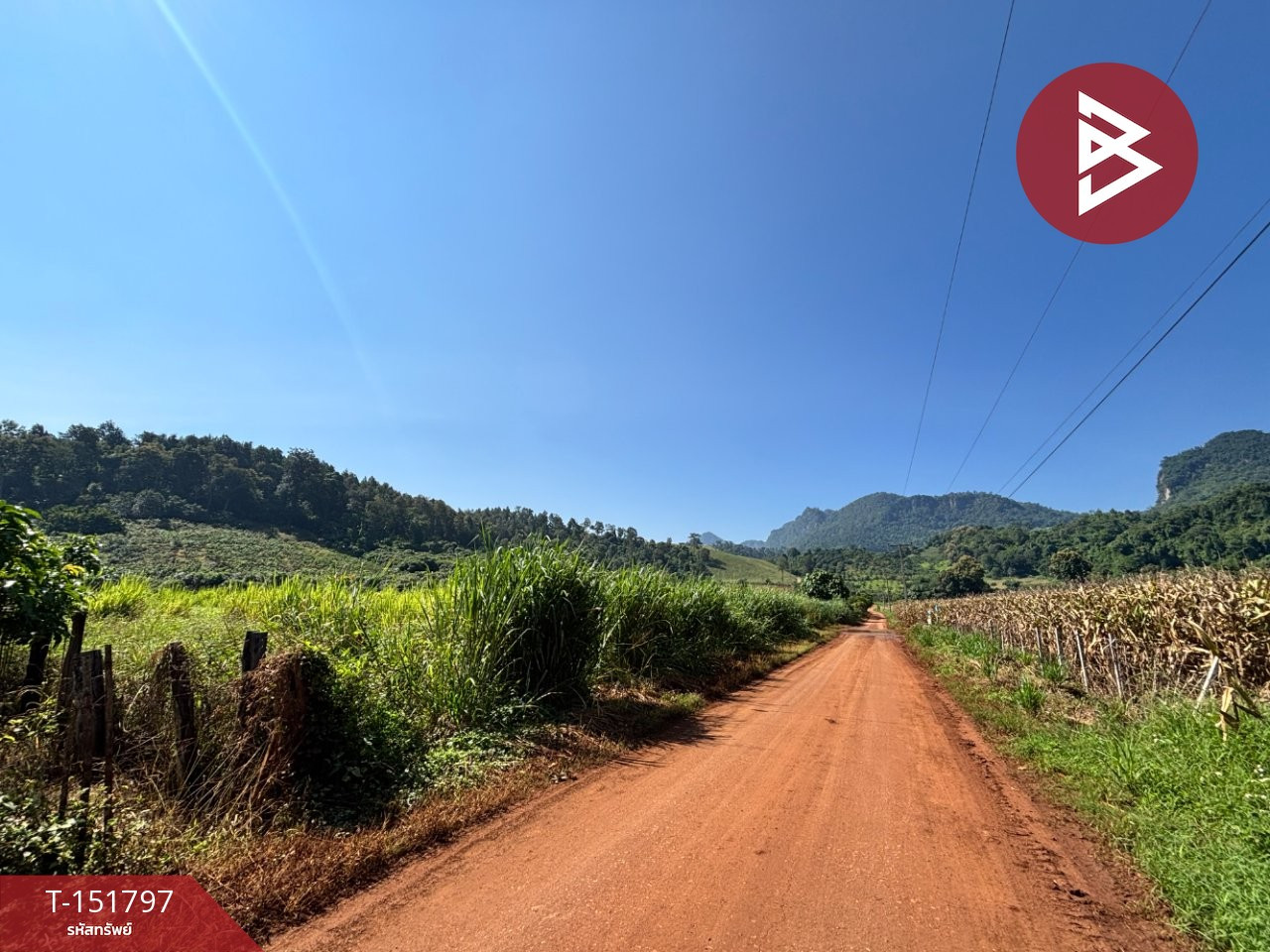 ขายที่ดิน เนื้อที่ 1 ไร่ 56.1 ตร.วา เชียงดาว เชียงใหม่ – รูปที่ 4