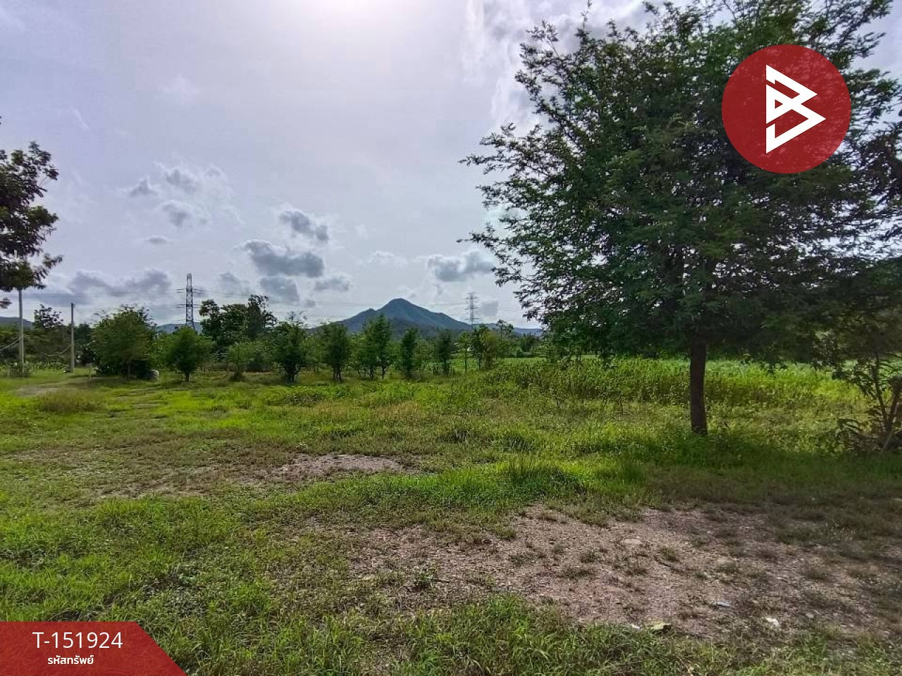 ขายที่ดิน เนื้อที่ 2 งาน 63.3 ตร.วา ปากท่อ ราชบุรี