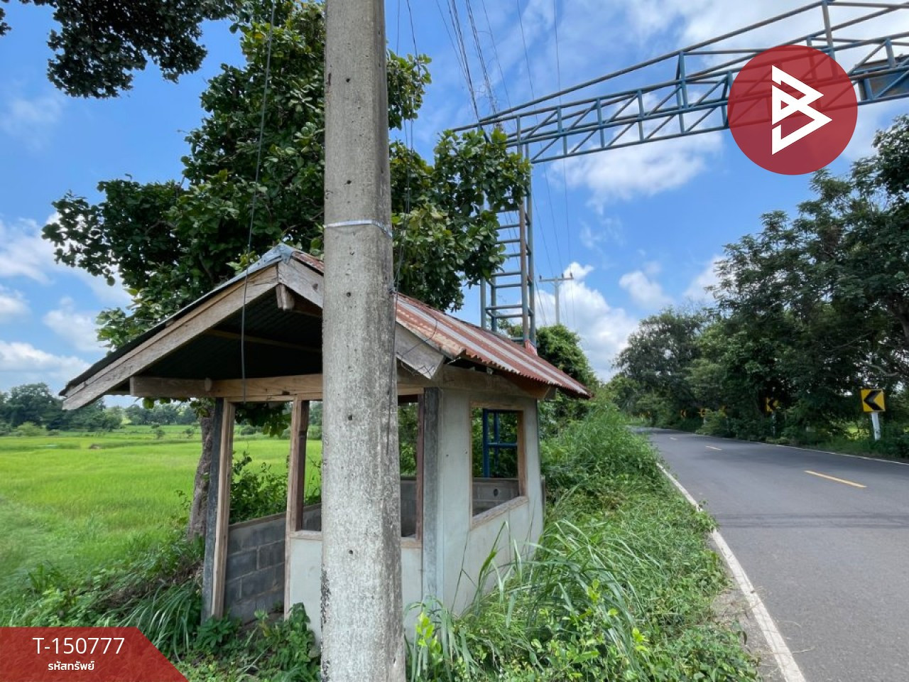 Land for sale, area 5 rai, Mr. M Amnat Charoen Land for sale, area 5 rai, Mr. M Amnat Charoen