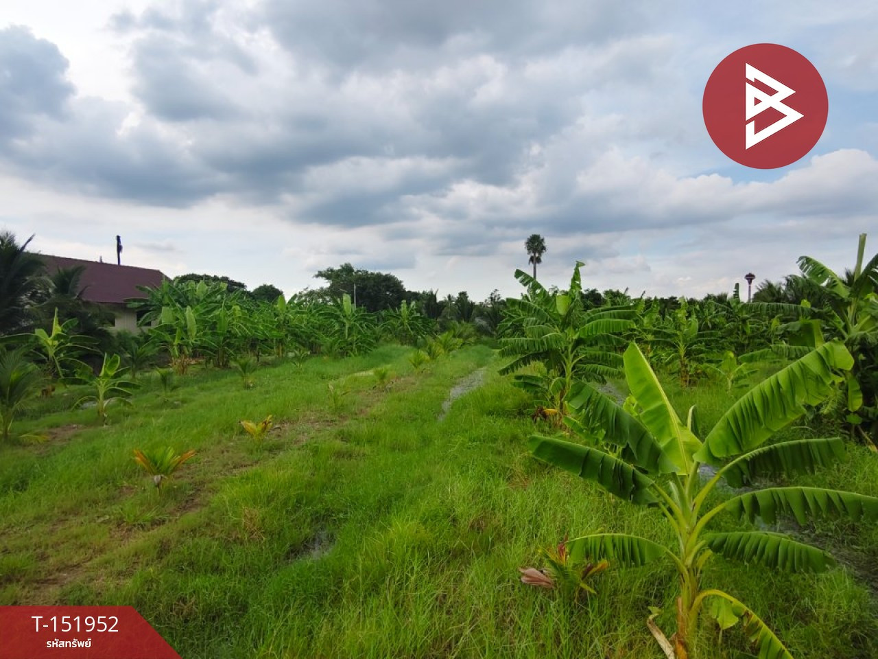ขายที่ดิน เนื้อที่ 5 ไร่ 9 ตร.วา นครชัยศรี นครปฐม – รูปที่ 3