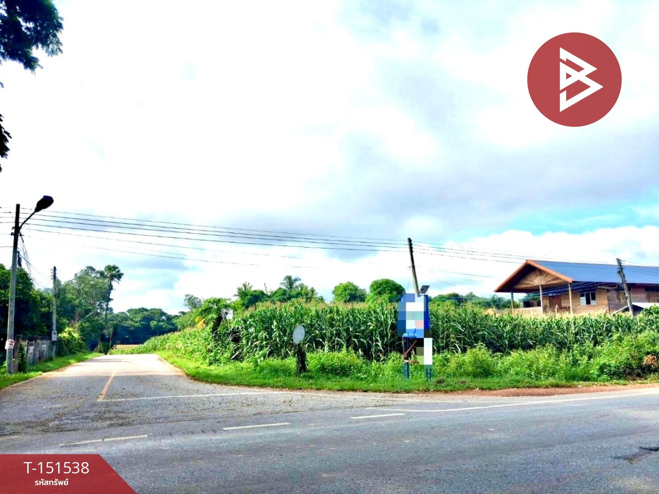 ขายที่ดิน ทำเลดี ติดถนนใหญ่ สายอุตรดิตถ์-เกาะไทย – รูปที่ 3
