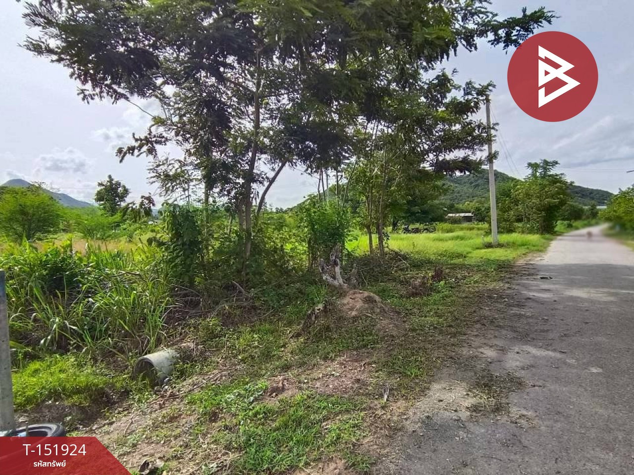 Land for sale, area 2 ngan 63.3 sq m, Pak Tho, Ratchaburi. – รูปที่ 3