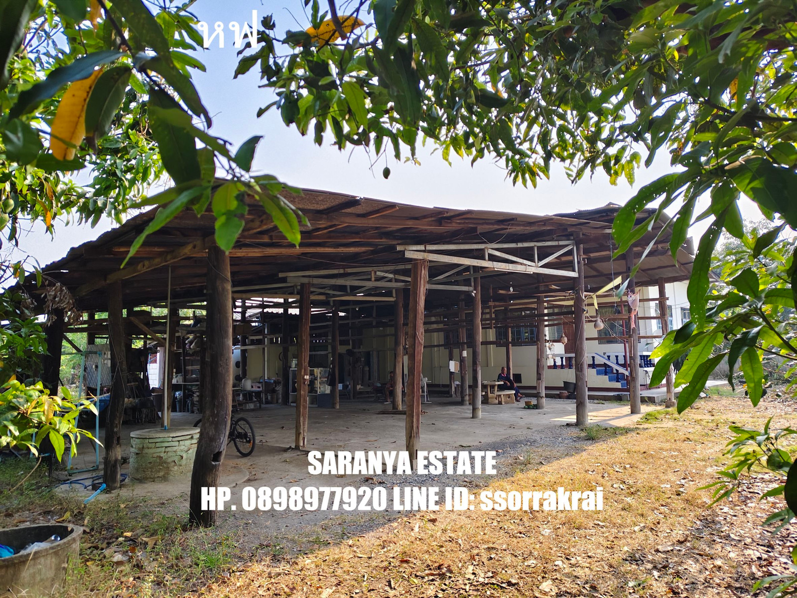 ขายที่ดินพร้อมบ้าน โกดัง พื้นที่ทำสวน บ้านโฮ่ง จังหวัดลำพูน เนื้อที่ 1 ไร่ 3 งาน 25 ตารางวา  ขายราคาเพียง 1,800,000 บาท มีต้นฝรั่งไส้แดงร้อยกว่าต้นและต้นมะม่วง อยู่ในบ้าน ติดถนนหลักในหมู่บ้านไม่เข้าซอย ห่างจากโรงเรียนประถมจิรพิทยา 550 เมตร ห่างจากตลาดและเ – รูปที่ 3