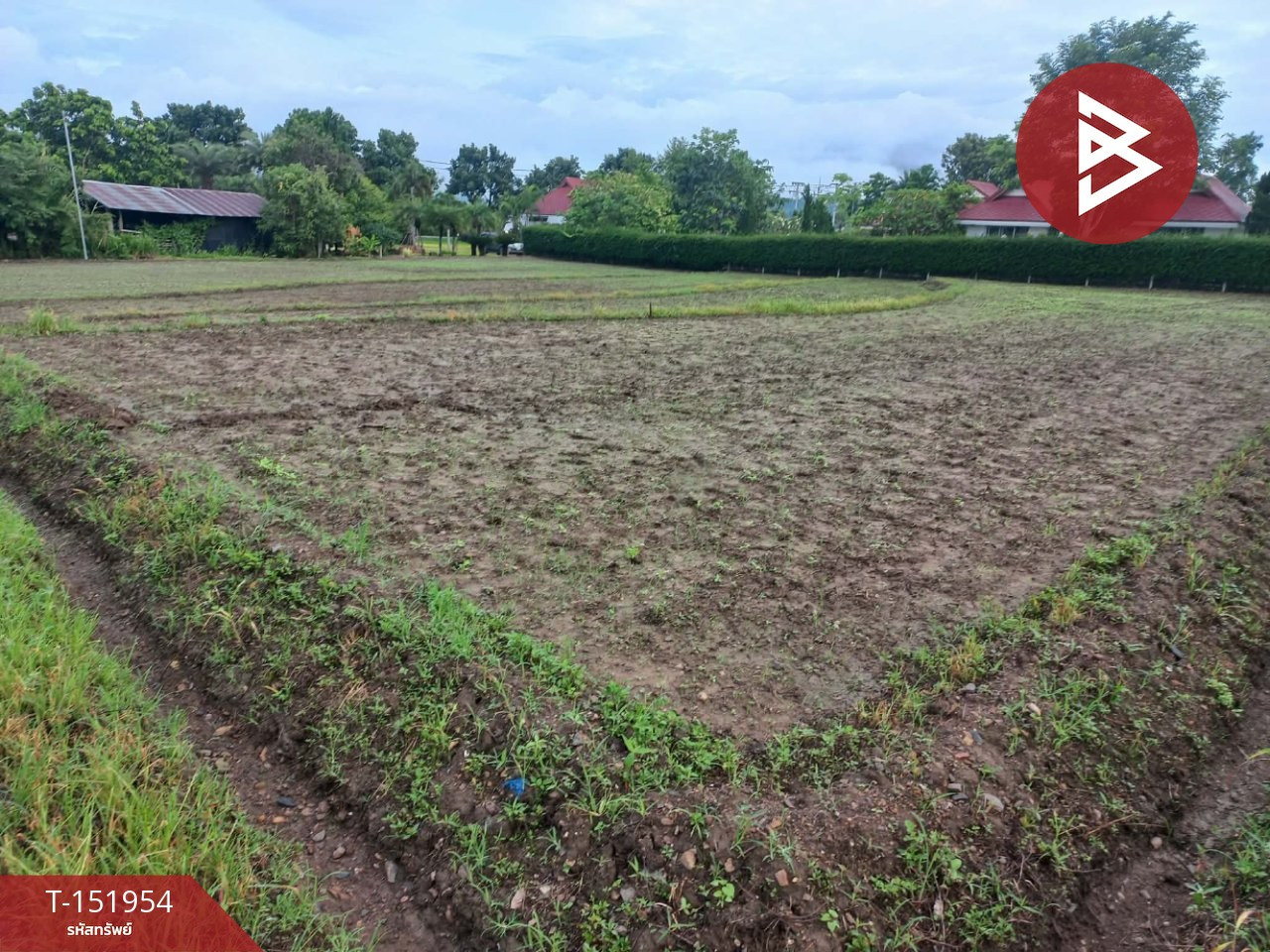 Land for sale, area 1 rai 64 sq m, Pai, Mae Hong Son Land for sale, area 1 rai 64 sq m, Pai, Mae Hong Son
