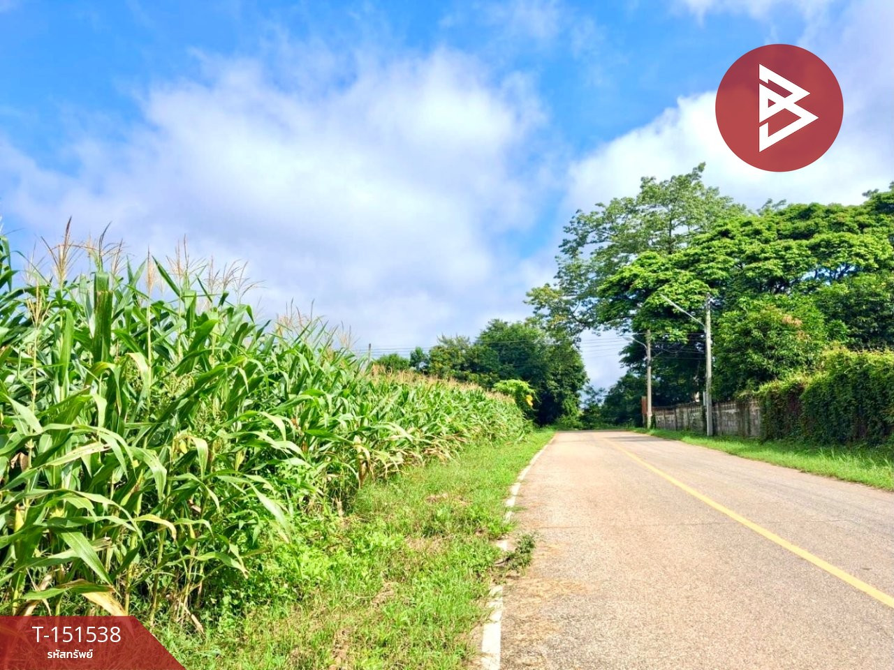 ขายที่ดิน ทำเลดี ติดถนนใหญ่ สายอุตรดิตถ์-เกาะไทย – รูปที่ 2