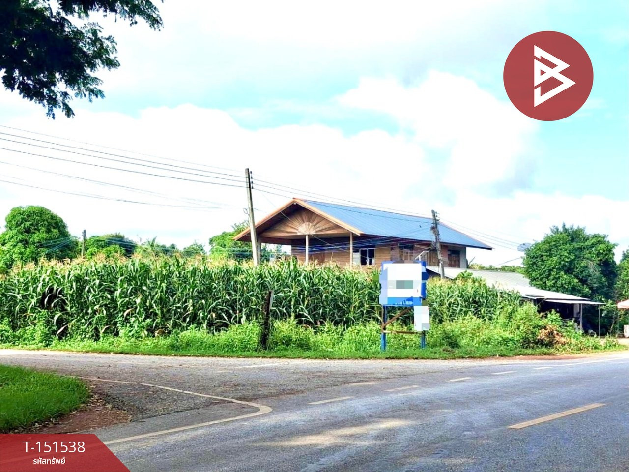 ขายที่ดิน ทำเลดี ติดถนนใหญ่ สายอุตรดิตถ์-เกาะไทย – รูปที่ 4