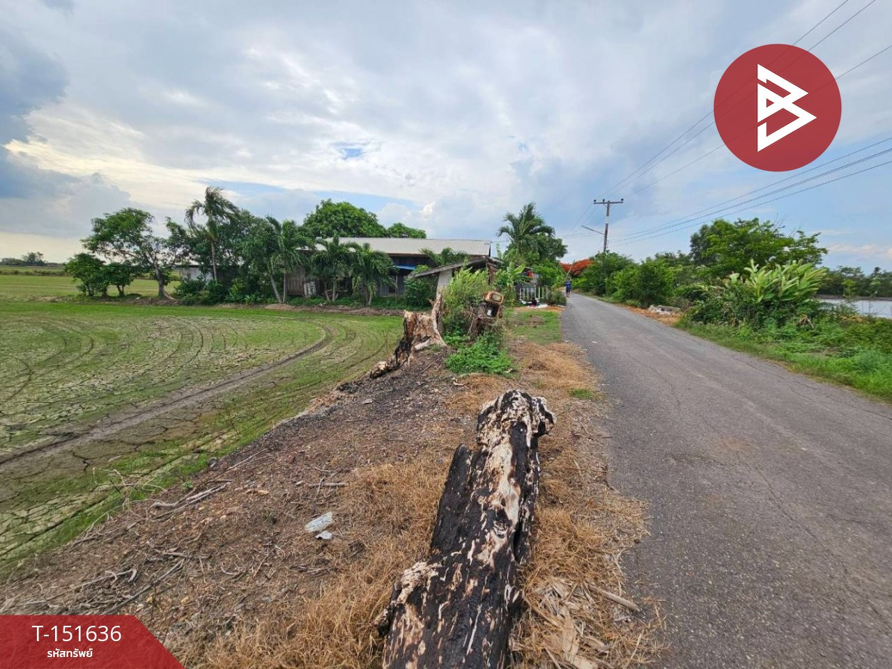 Rice field land for sale, area 24 rai 3 ngan 85 square wah, Bang Khla, Chachoengsao. – รูปที่ 3