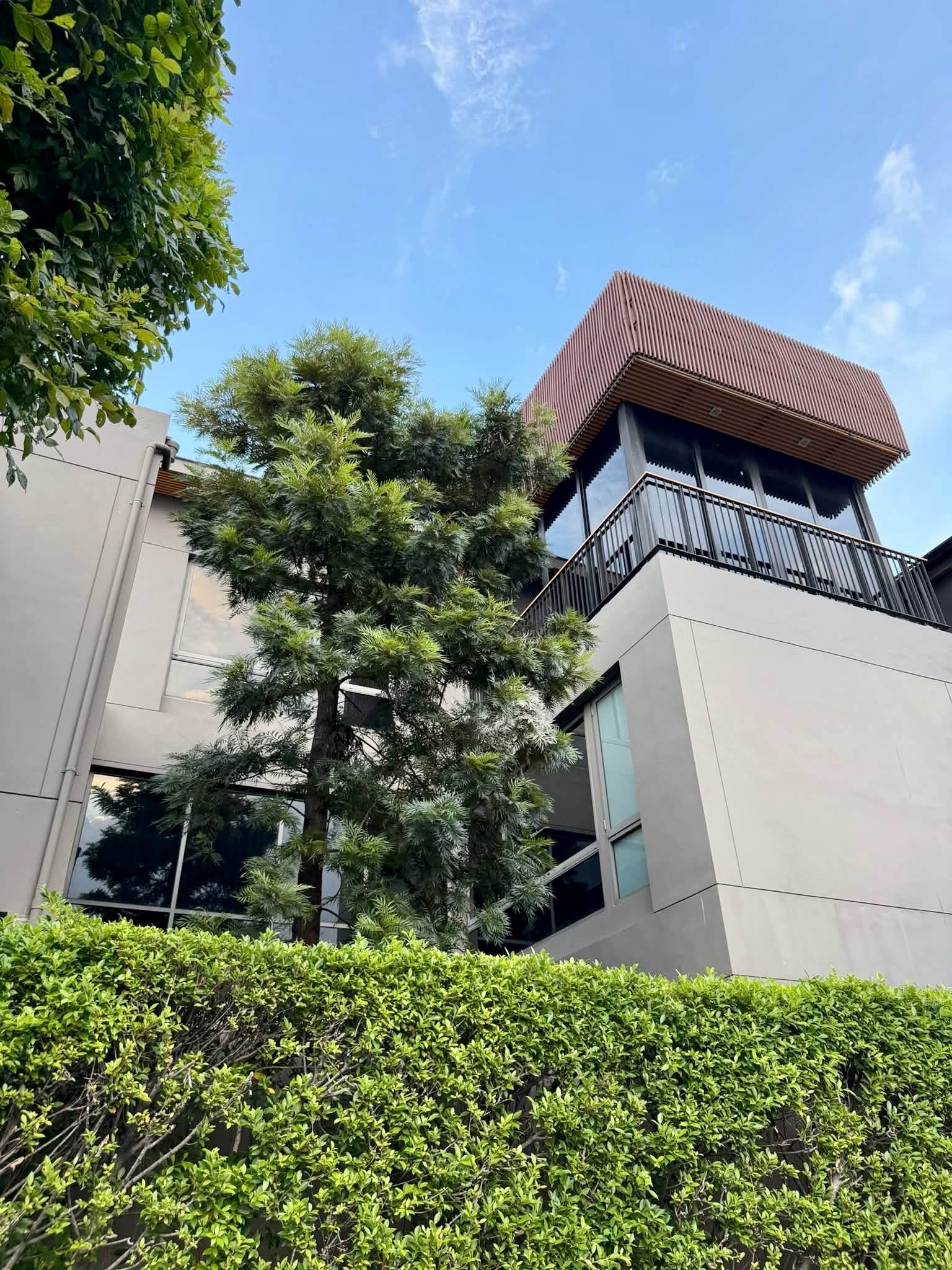 🌟 ให้เช่า: บ้านเดี่ยวหรู 3 ชั้น | อาร์เทล พัฒนาการ–ทองหล่อ | 5 ห้องนอน | 6 ห้องน้ำ | ตกแต่งสวยงาม เฟอร์นิเจอร์ครบครัน💥ค่าเช่า: 300,000 บาท/เดือน – รูปที่ 2