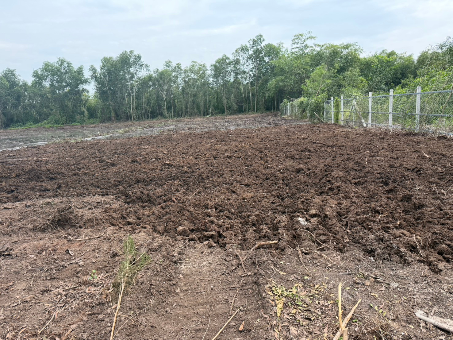 Small plot of land for sale Garden house atmosphere, 380 sq m, water and electricity ready to use. – รูปที่ 3