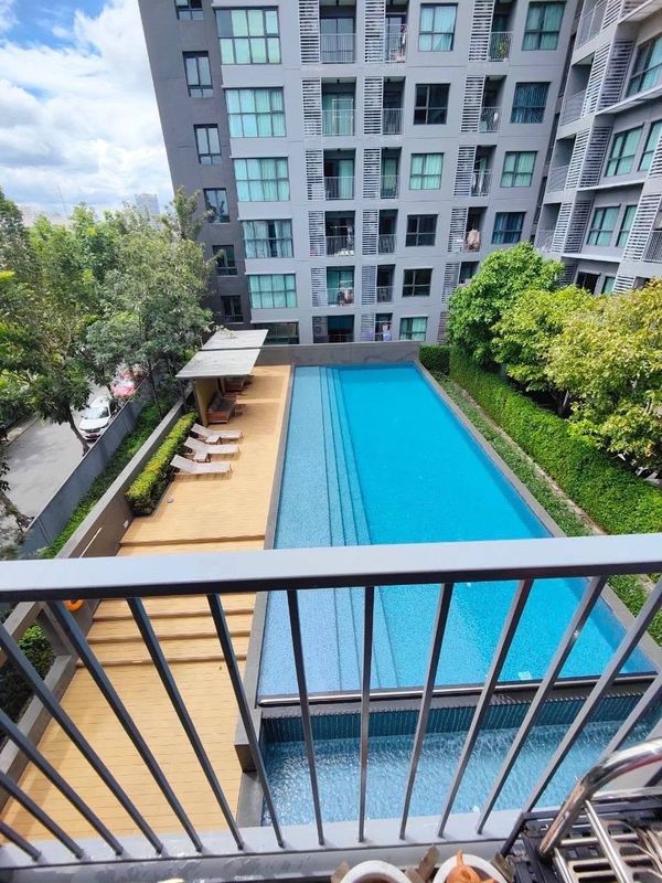 ✨ Amazing view of the swimming pool! The room is 36 square meters wide, divided into 3 extremely private zones. Fully furnished with water filter | The Aspen Condo Lasalle-Bangna-Bearing (Phase B) | 🏊‍♂️💎