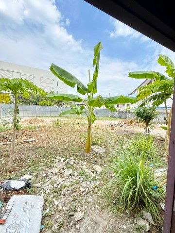 filled land for rent in the Lat Phrao 66-72 -Mengjai - Ratchada area. Size 132 sq.wa. 528 sq.m. Sui