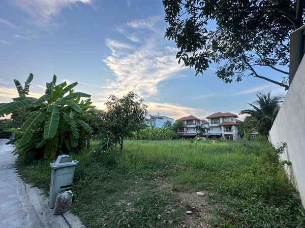 +++ขาย+++ ที่ดิน พุทธมณฑลสาย 3 ซอย 28 ขนาด 144 ตรว.