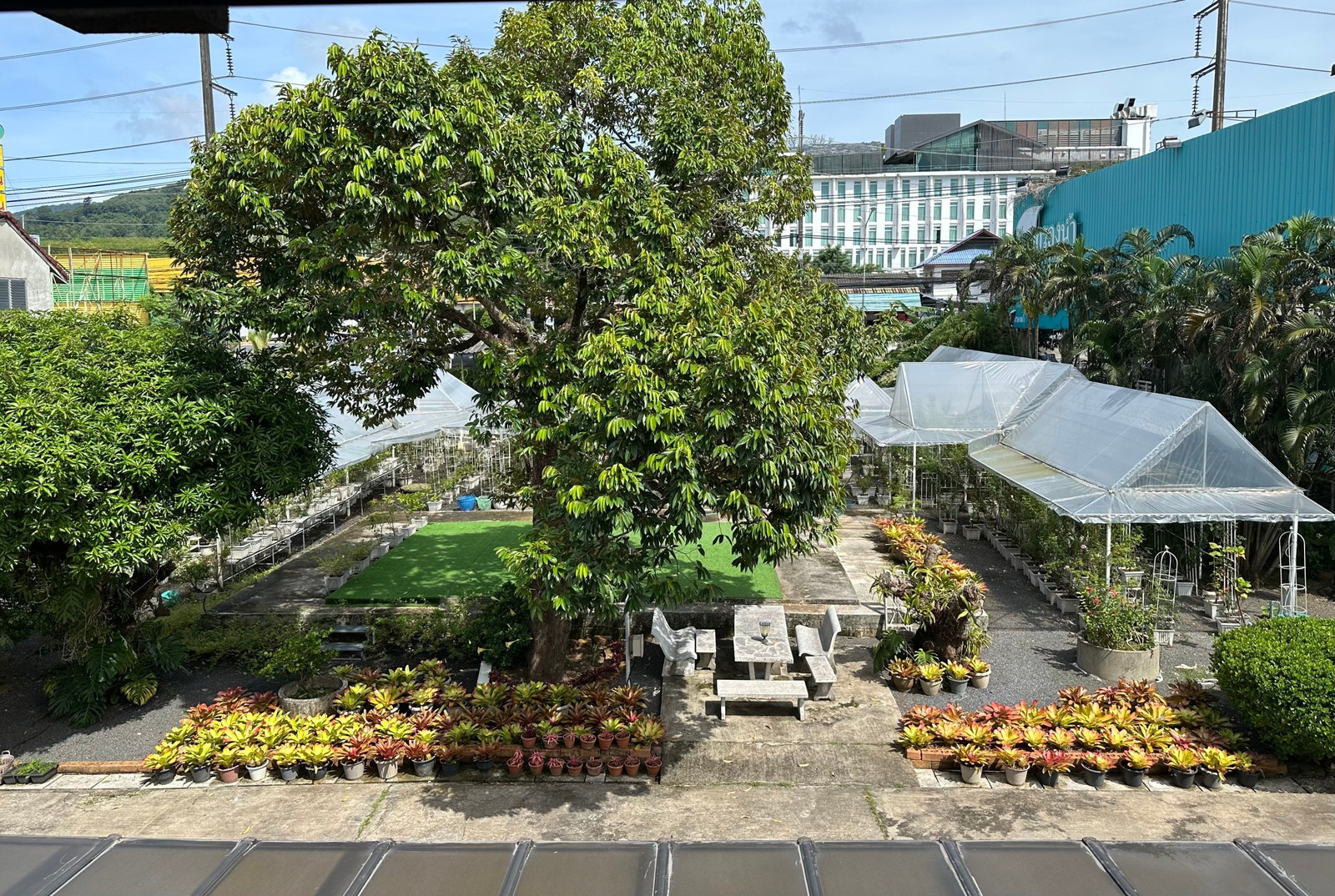 ที่ดินใจกลางเมืองภูเก็ต – รูปที่ 4