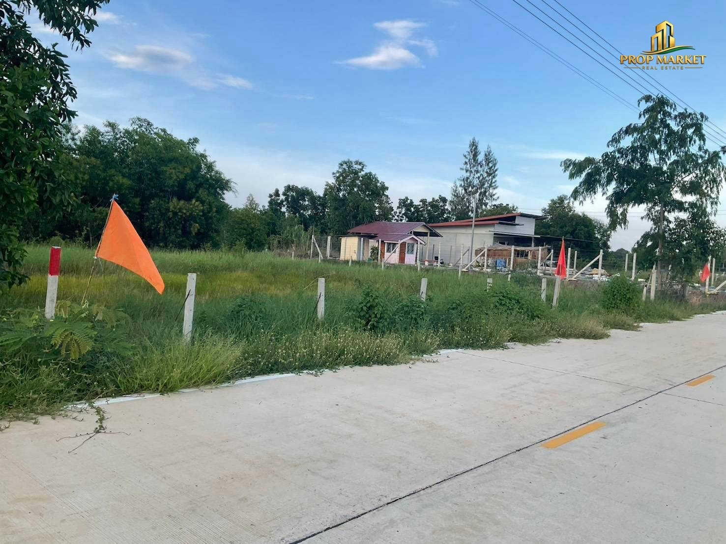 Land for sale, Khlong 11, Soi Mitthae, Pathum Thani, beautiful, convenient travel. – รูปที่ 3