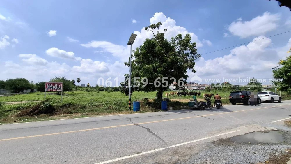 ขายที่ดินกำแพงแสน นครปฐม ถมแล้ว 7-3-57 ไร่ ถ.ปทุมธานี บางเลน ใกล้ ม.เกษตรศาสร์ กำแพงแสน ราคา 33.6 ล้าน อยู่ในแหล่งชุมชน มีผู้คนอาศัยจำนวน – รูปที่ 4