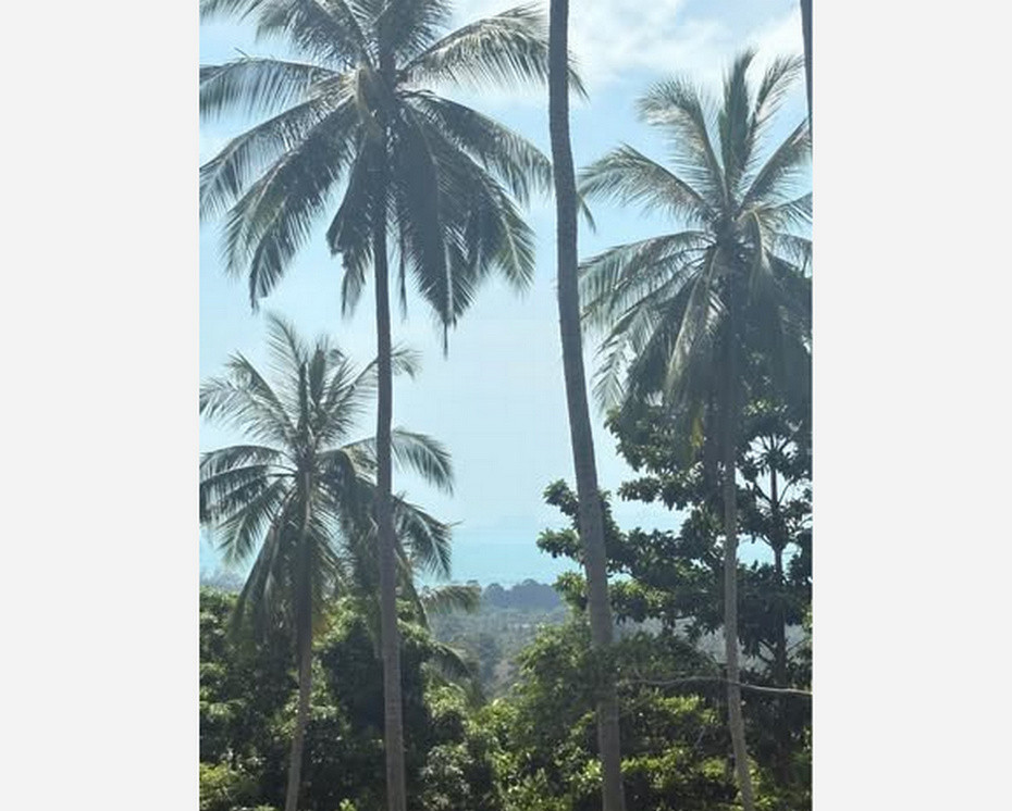Call : 099-359-4236 Land with sea view 6 Rai, located on a hillside with waterfall access, next to a public road, , Lipa Noi, Koh Samui, Surat Thani Beautiful location and great atmosphere Call : 099-359-4236 Land with sea view 6 Rai, located on a hillside with waterfall access, next to a public road, , Lipa Noi, Koh Samui, Surat Thani Beautiful location and great atmosphere