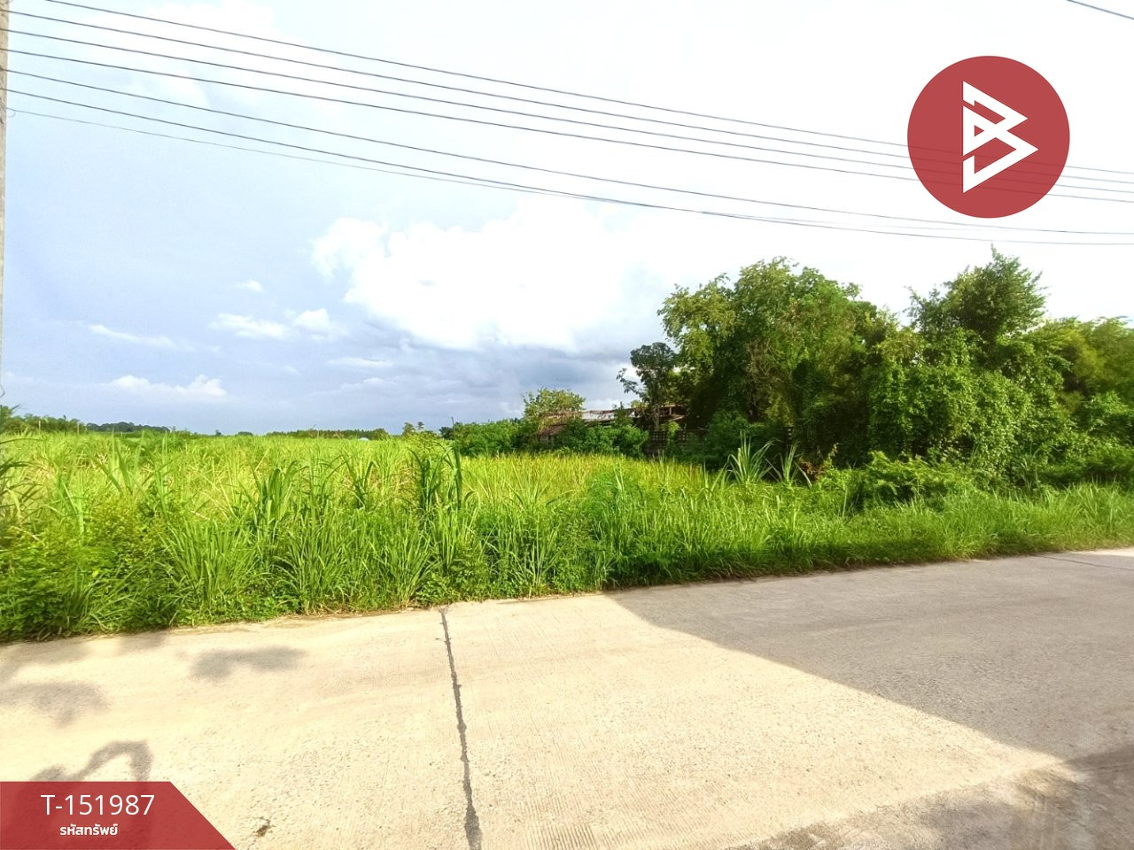 ขายที่ดิน เนื้อที่ 7 ไร่ 3 งาน 40 ตร.วา บ้านบึง ชลบุรี – รูปที่ 4