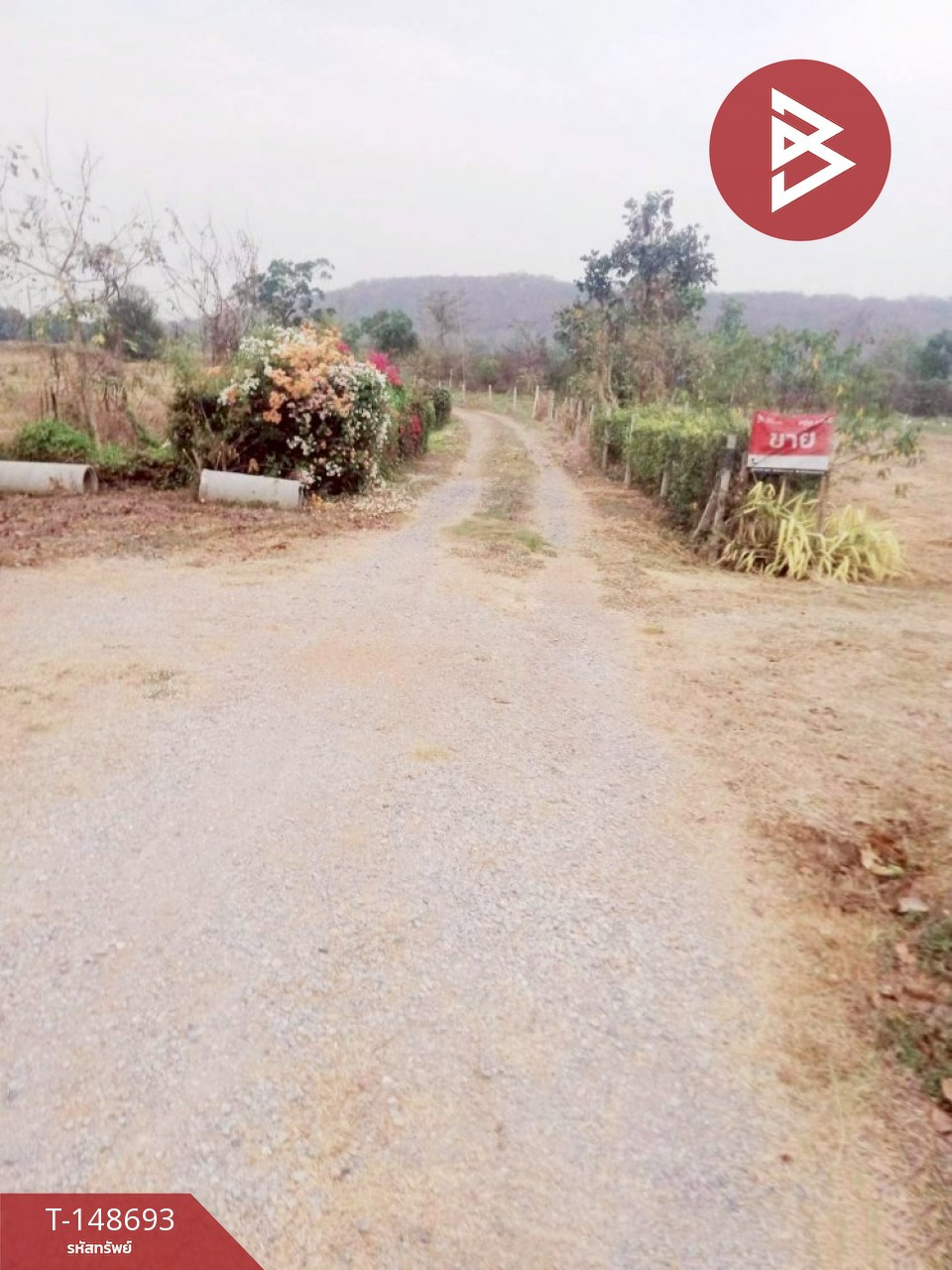Land for sale, area 3 rai 16.2 sq m, Nong Pla Lai, Saraburi – รูปที่ 2