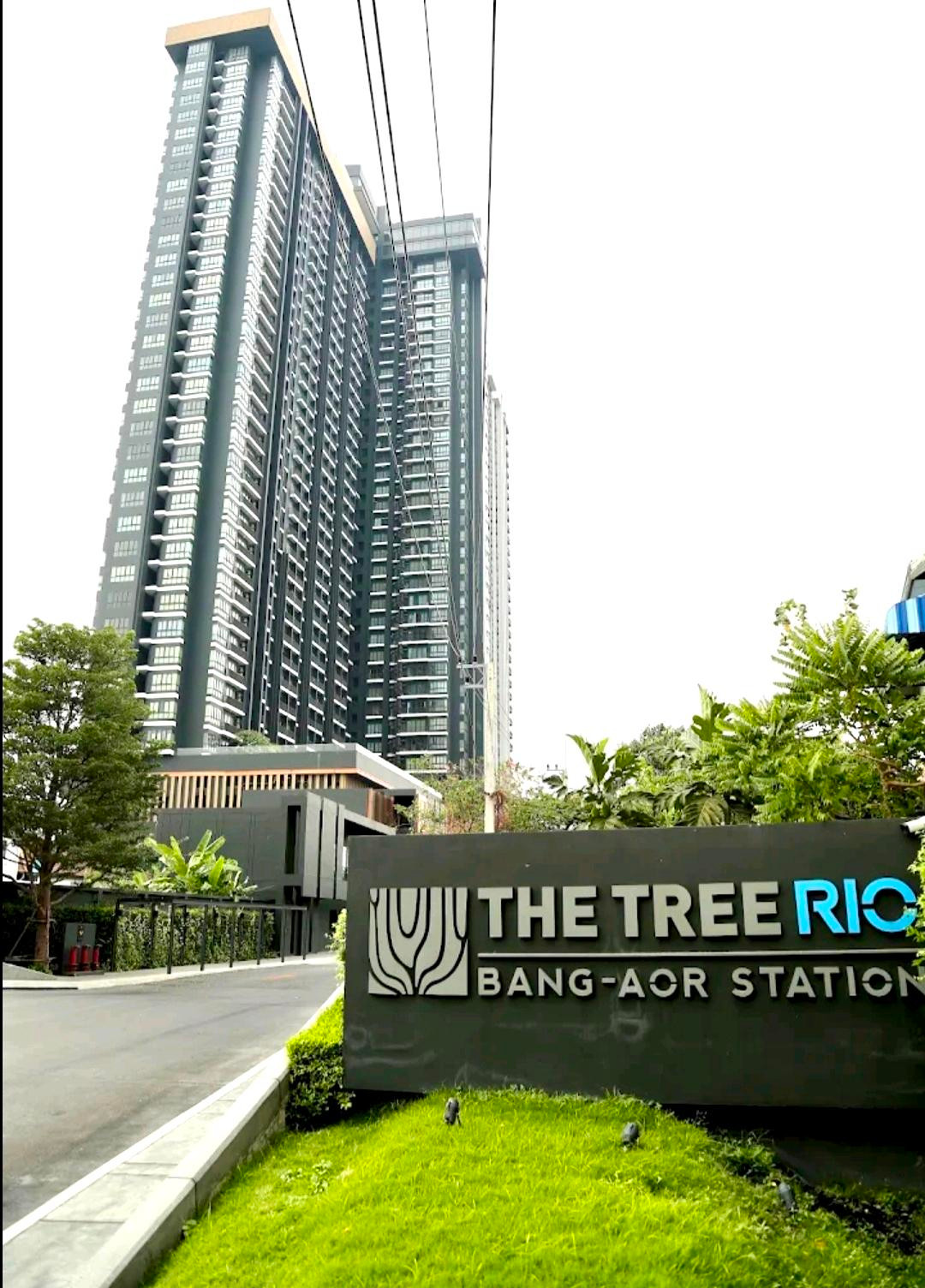 The Tree Rio BangAor Station 