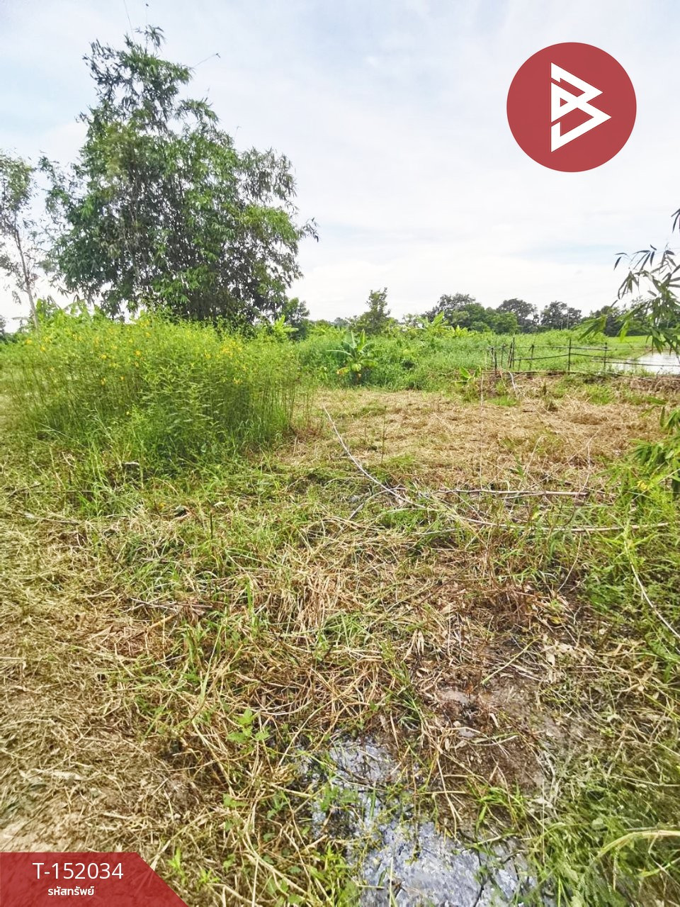 ขายที่ดิน เนื้อที่ 1 ไร่ 2 งาน 99.6 ตร.วา บ้านนา นครนายก – รูปที่ 4