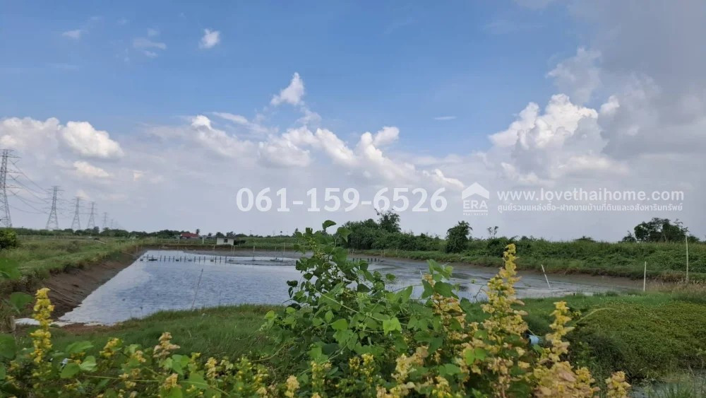 Land for sale, Sa Si Mum Subdistrict, Kamphaeng Saen District, Nakhon Pathom Province, beautiful plot 12 rai 18 sq m, price 6 million, width 50 m., depth 384 m. Enter Soi Wat Don Tao It, about 1.5 km. Currently, there is a tenant making a shrimp pond. Abl – รูปที่ 2