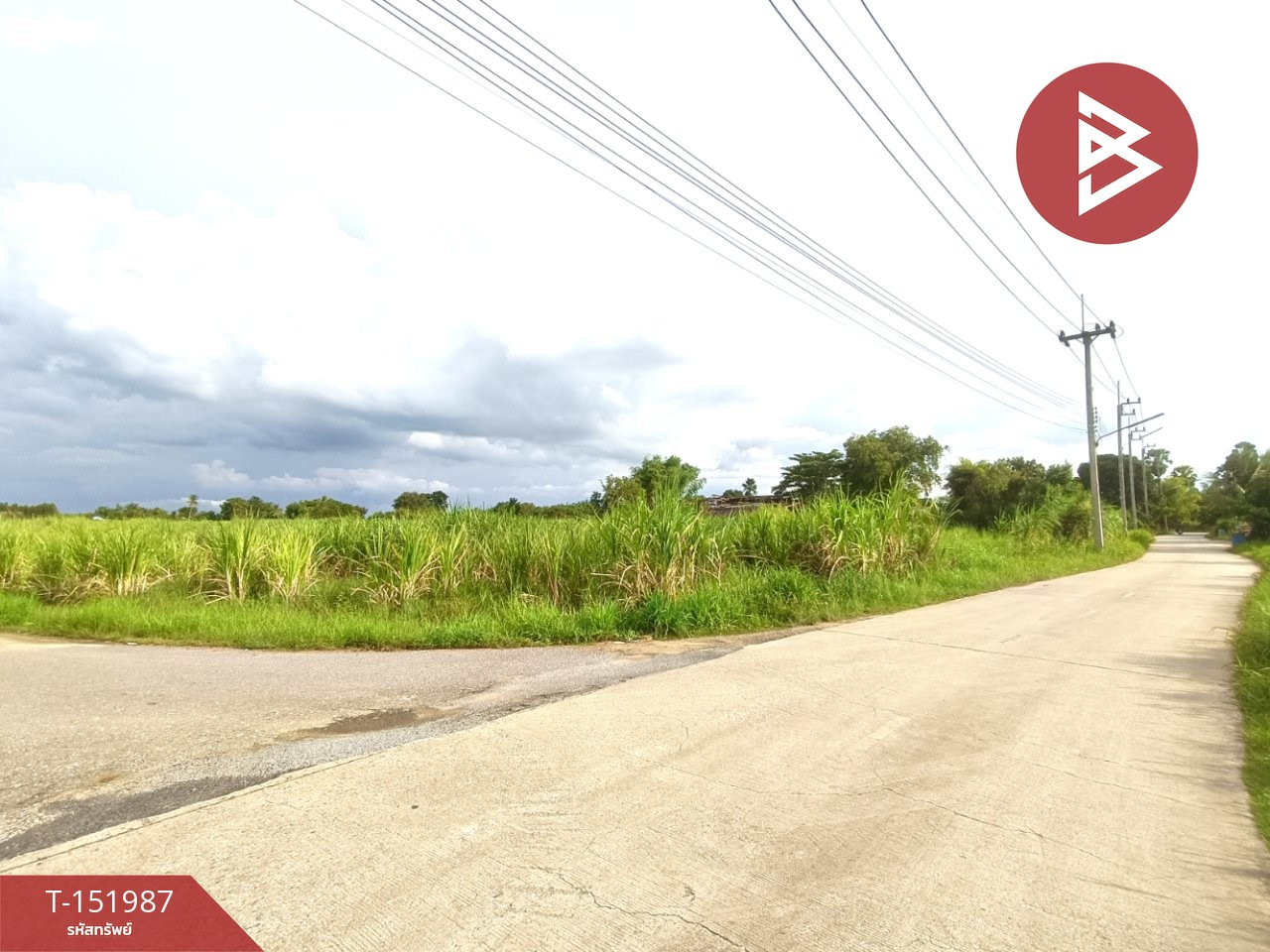 ขายที่ดิน เนื้อที่ 7 ไร่ 3 งาน 40 ตร.วา บ้านบึง ชลบุรี – รูปที่ 2