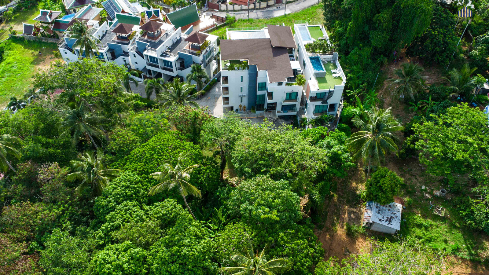 Luxury Rare Sea View หาดกะตะ!! ขายที่ดิน 230.8 ตร.วา เหมาะสร้าง Pool Villa ใกล้หาดกะรน ถนนปฎักทะลุฉลอง  – รูปที่ 3