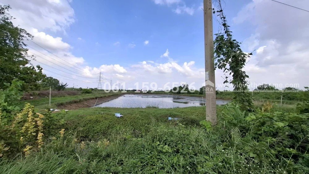 Land for sale, Sa Si Mum Subdistrict, Kamphaeng Saen District, Nakhon Pathom Province, beautiful plot 12 rai 18 sq m, price 6 million, width 50 m., depth 384 m. Enter Soi Wat Don Tao It, about 1.5 km. Currently, there is a tenant making a shrimp pond. Abl – รูปที่ 4