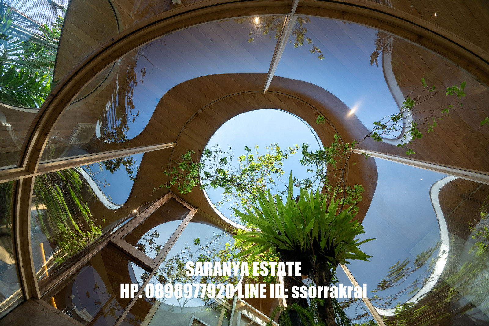 บ้านสวยให้เช่าลาดพรัาวซอย 1 มีเอกลักษณ์เฉพาะตัว กลางบ้านและผนังกระจกสูงที่เปิดรับแสง พื้นที่ภายในโดดเด่นด้วยงานไม้โทนอุ่น สร้างบรรยากาศสงบและประสบการณ์การพักผ่อนที่ไม่เหมือนใคร ตั้งอยู่ใจกลางเมือง เดินทางสะดวก ใกล้แหล่งไลฟ์สไตล์และเดอะเซนทรัล พหลโยธิน บ้านสวยให้เช่าลาดพรัาวซอย 1 มีเอกลักษณ์เฉพาะตัว กลางบ้านและผนังกระจกสูงที่เปิดรับแสง พื้นที่ภายในโดดเด่นด้วยงานไม้โทนอุ่น สร้างบรรยากาศสงบและประสบการณ์การพักผ่อนที่ไม่เหมือนใคร ตั้งอยู่ใจกลางเมือง เดินทางสะดวก ใกล้แหล่งไลฟ์สไตล์และเดอะเซนทรัล พหลโยธิน