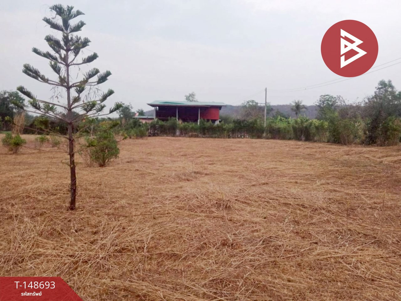 Land for sale, area 3 rai 16.2 sq m, Nong Pla Lai, Saraburi – รูปที่ 4