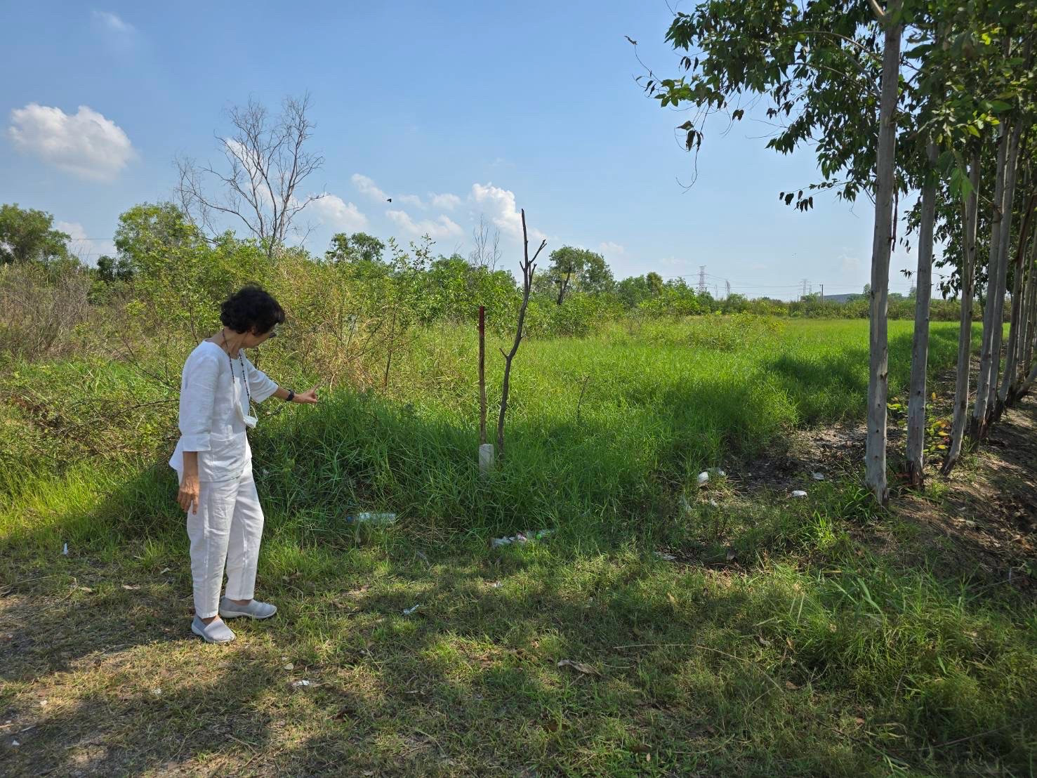 ที่ดินสามารถทำโรงงาน โกดังได้ – รูปที่ 2