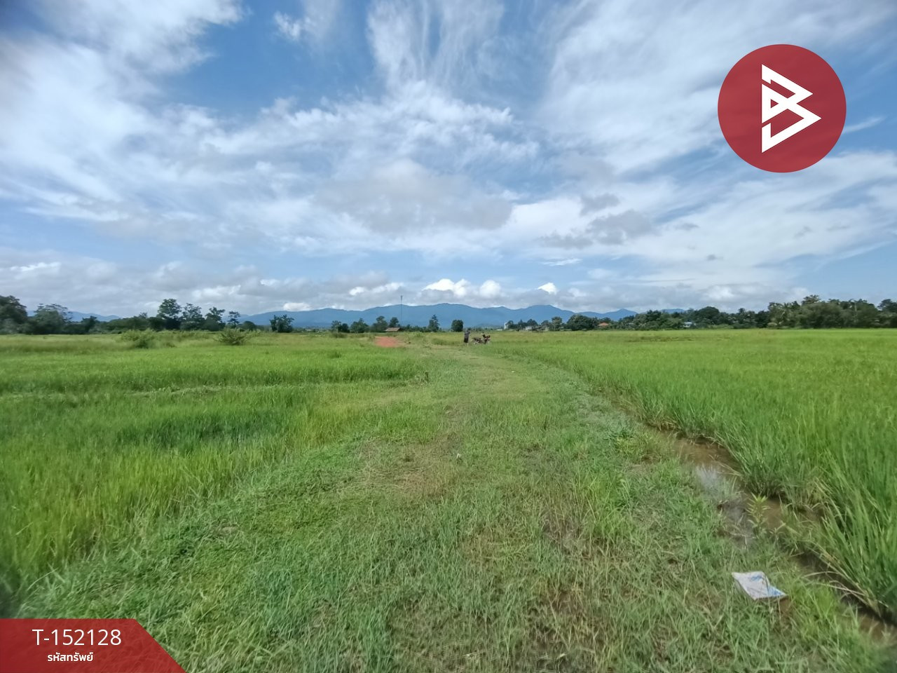 ขายที่ดิน เนื้อที่ 3 งานไชยสถาน น่าน – รูปที่ 3