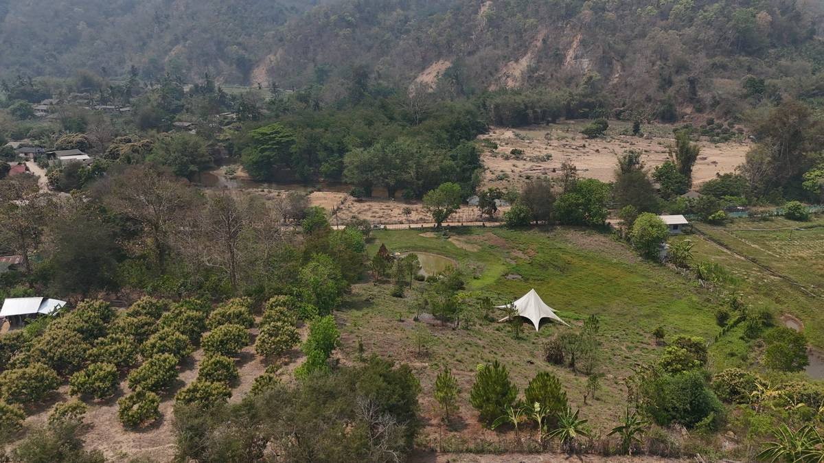 🔥 ลดราคา! ที่ดินวิวเขาเชียงดาว บรรยากาศเงียบสงบ เหมาะทำบ้านสวนหรือโฮมสเตย์ ⛰️🌿 🔥 ลดราคา! ที่ดินวิวเขาเชียงดาว บรรยากาศเงียบสงบ เหมาะทำบ้านสวนหรือโฮมสเตย์ ⛰️🌿