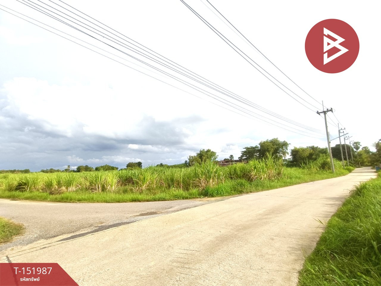 ขายที่ดิน เนื้อที่ 7 ไร่ 3 งาน 40 ตร.วา บ้านบึง ชลบุรี – รูปที่ 3
