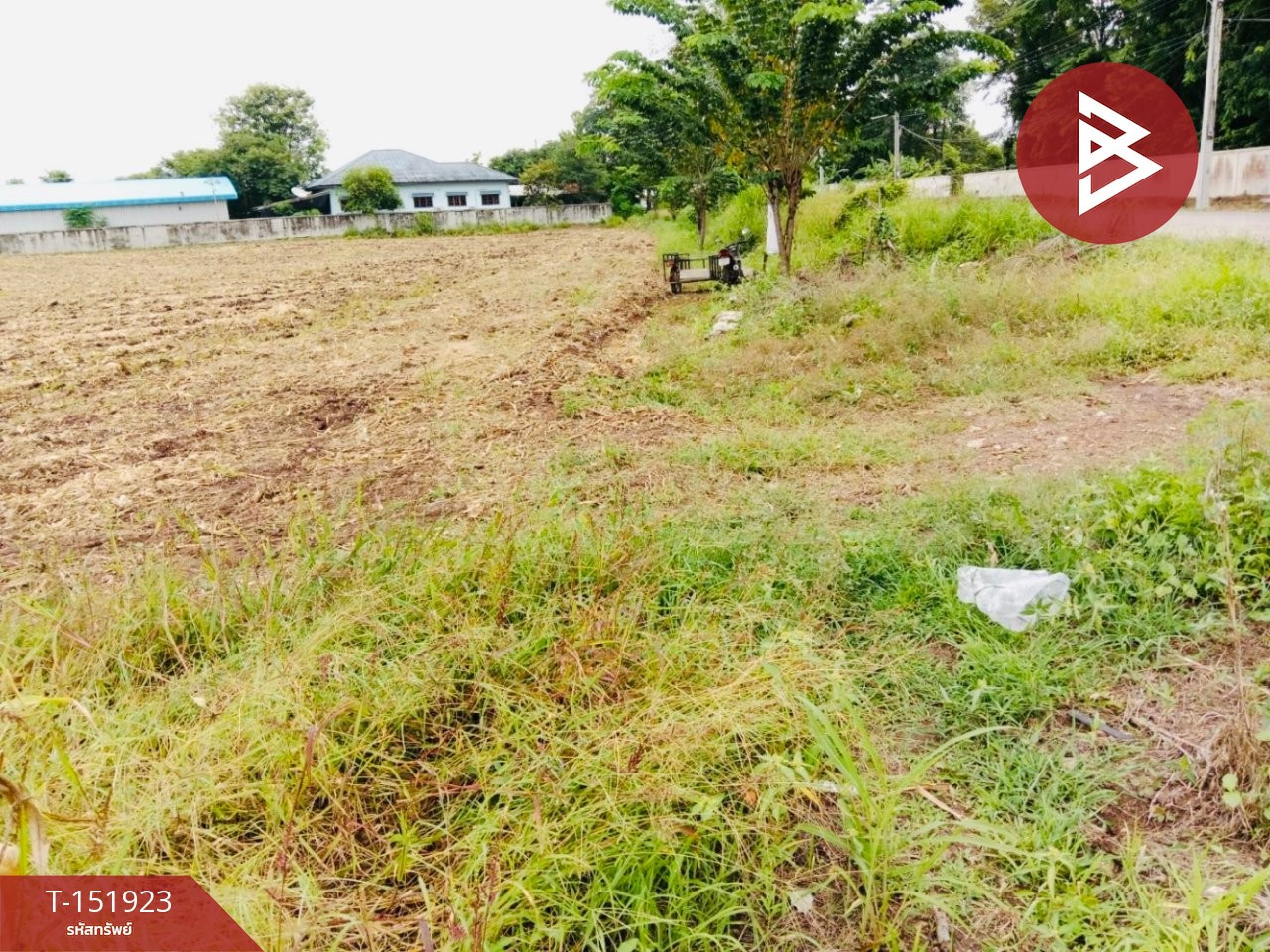 Land for sale, area 15 rai 2 ngan 77 square wa, Wichian Buri District, Phetchabun Province. – รูปที่ 2