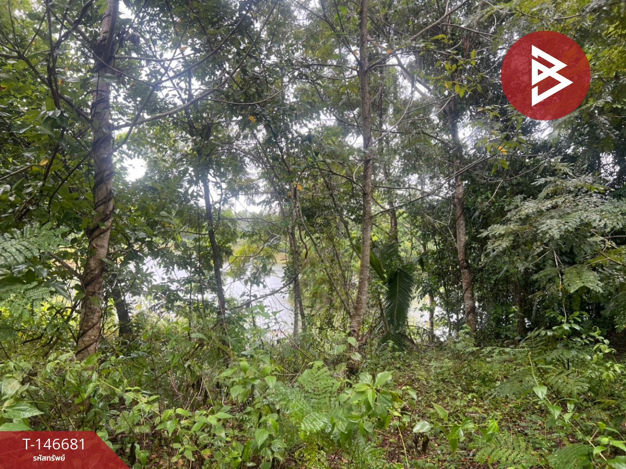 Land for sale, area 34 rai 1 ngan 62 sq m, Sa Khwan Subdistrict, Mueang Sa Kaeo – รูปที่ 4
