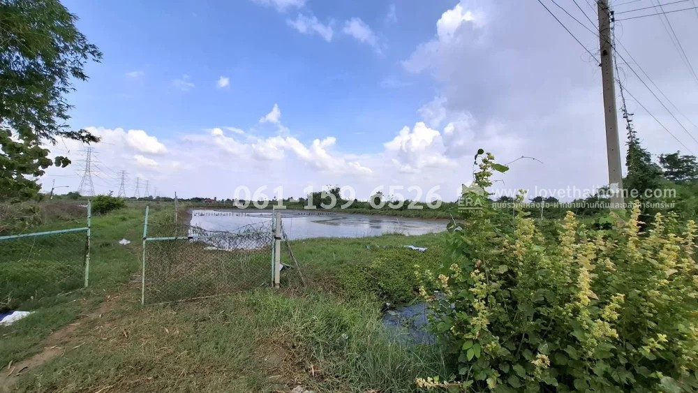 Land for sale, Sa Si Mum Subdistrict, Kamphaeng Saen District, Nakhon Pathom Province, beautiful plot 12 rai 18 sq m, price 6 million, width 50 m., depth 384 m. Enter Soi Wat Don Tao It, about 1.5 km. Currently, there is a tenant making a shrimp pond. Abl – รูปที่ 3