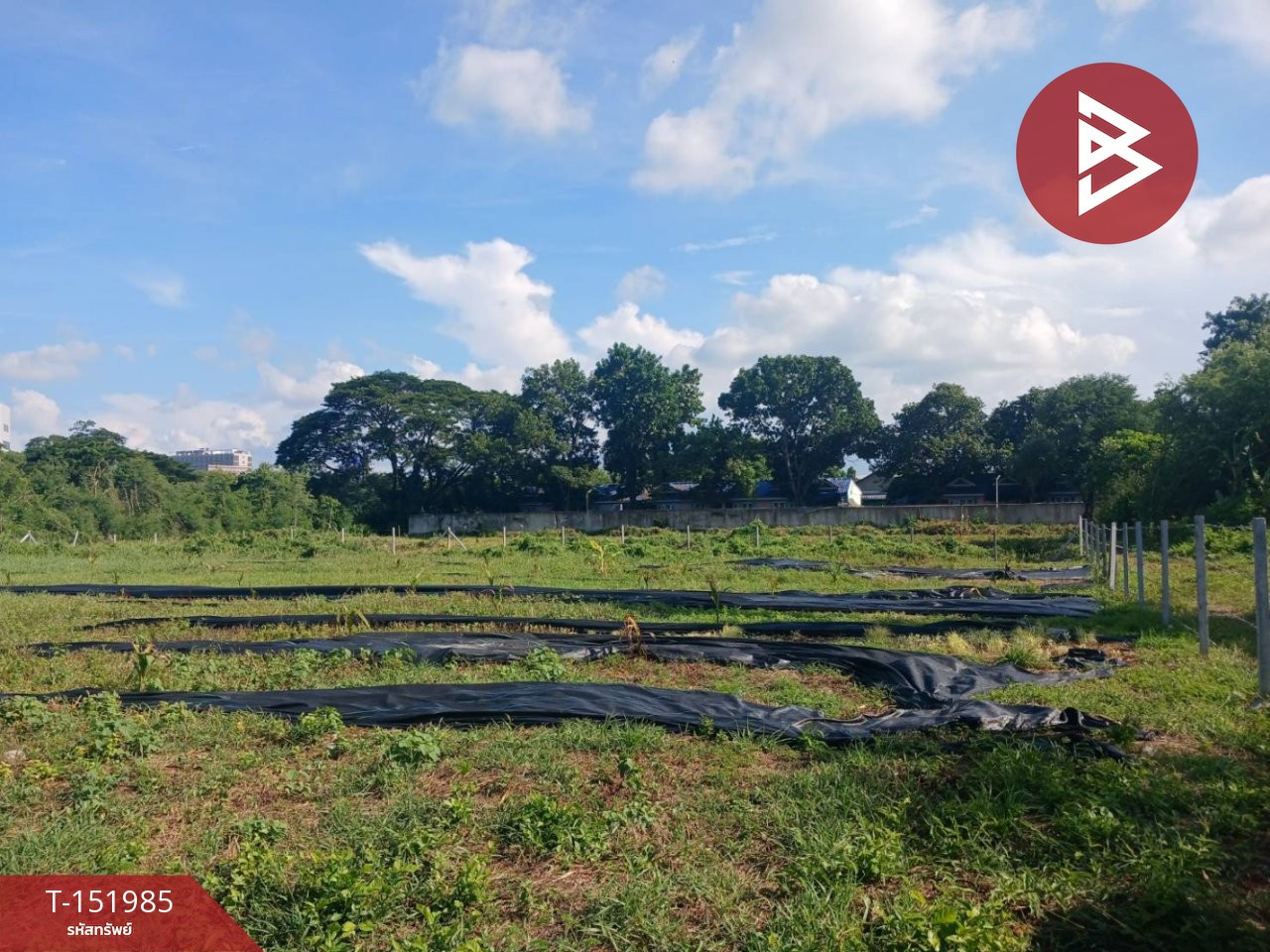 ขายที่ดิน เนื้อที่ 1 ไร่ 2 งาน 67 ตร.วา ในเมือง นครราชสีมา – รูปที่ 2