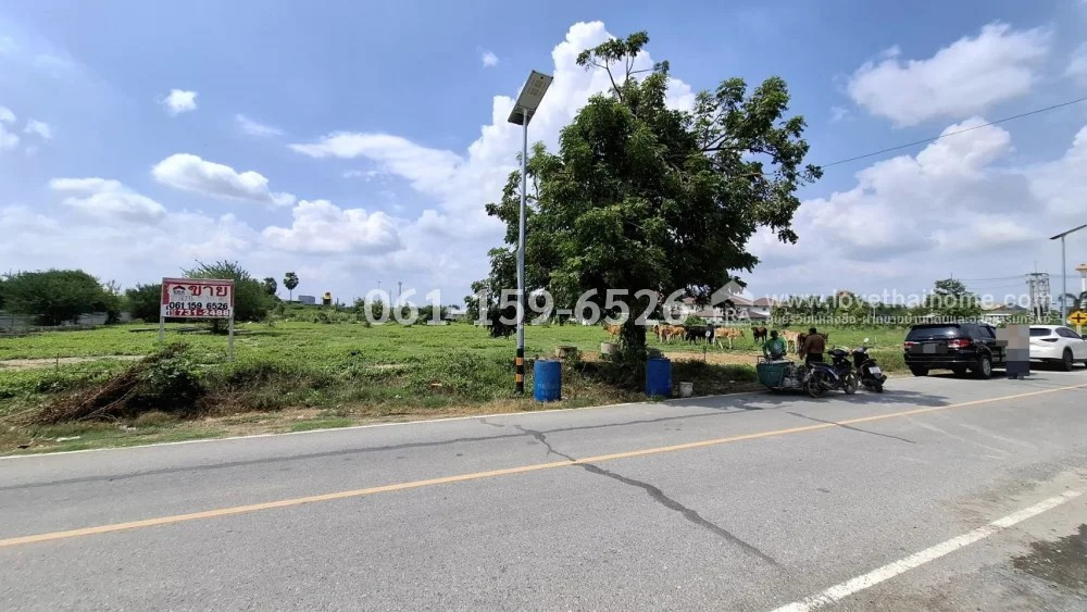 ขายที่ดินกำแพงแสน นครปฐม ถมแล้ว 7-3-57 ไร่ ถ.ปทุมธานี บางเลน ใกล้ ม.เกษตรศาสร์ กำแพงแสน ราคา 33.6 ล้าน อยู่ในแหล่งชุมชน มีผู้คนอาศัยจำนวน – รูปที่ 3