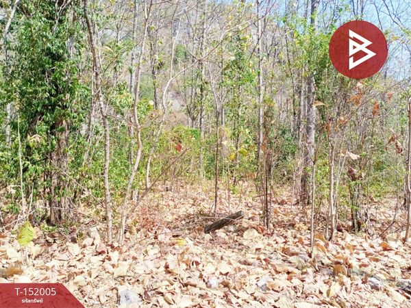 Land for sale, area 125 square meters, Takhli, Nakhon Sawan