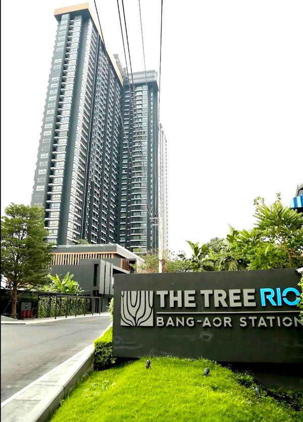The Tree Rio BangAor Station 