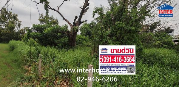 ที่ดินเปล่า 100 ตร.ว. ที่ดิน ซอยร่วมสุข4/5 ถนนติวานนท์ ถนนเลียบคลองประปา เมืองปทุมธานี ปทุมธานี 
