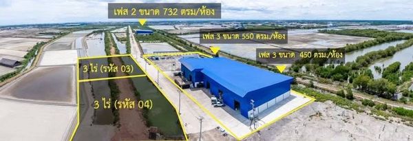 ปล่อยเช่า 📦 โกดัง 🩷 ผังสีชมพู 📐️ ขนาด 300 ตรม – 1,200 ตรม ⛳ ติดถนนพระราม 2 กม 52 อ.เมือง สมุทรสาคร   