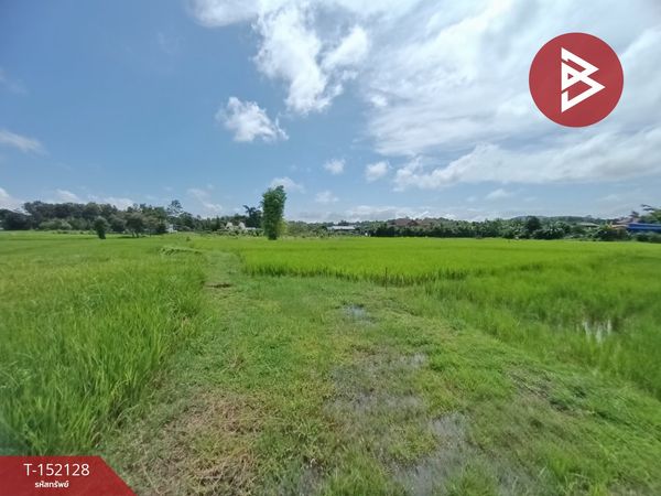 Land for sale, area 3, Ngan Chai Sathan, Nan.