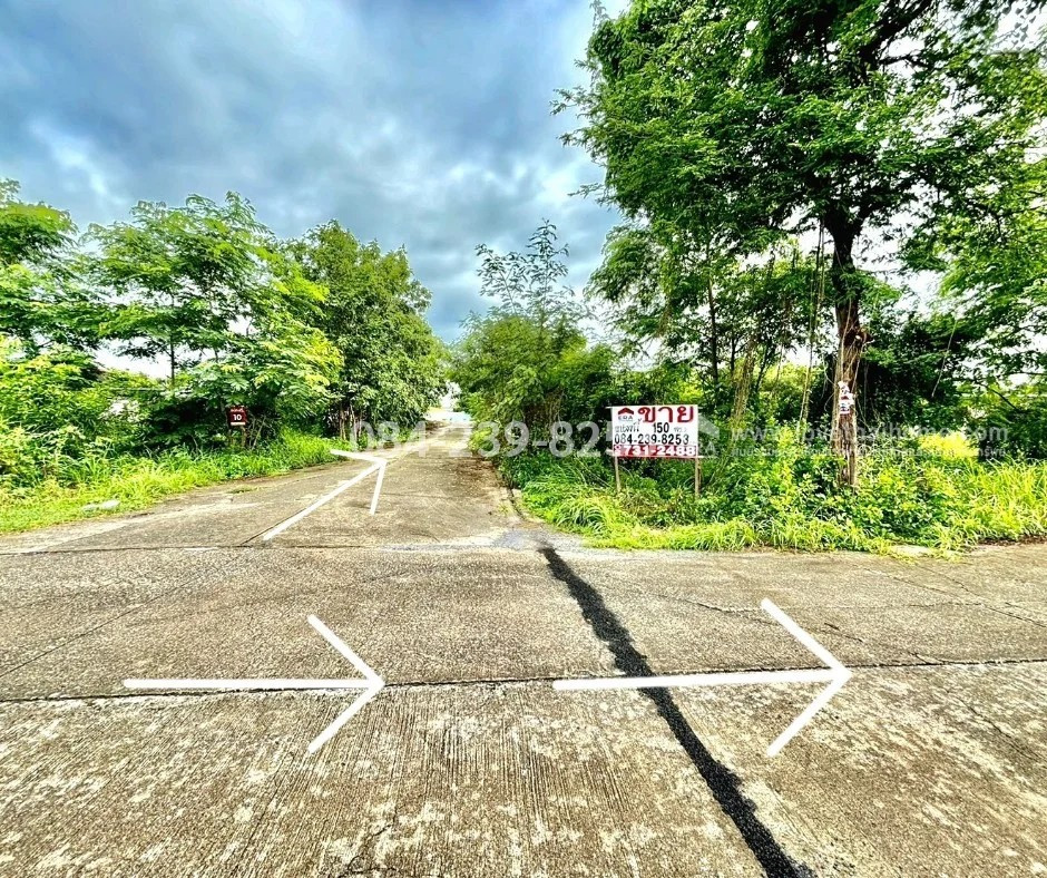 ขายที่ดินหนองจอก ถ.ประชาสำราญ (ซ.ลำลูกกา196) แปลงมุม 150 ตรว. ราคา 1.15 ล้าน ทำเลดี เหมะสำหรับสร้างบริษัท,โกดัง และบ้านพักอาศัย – รูปที่ 4