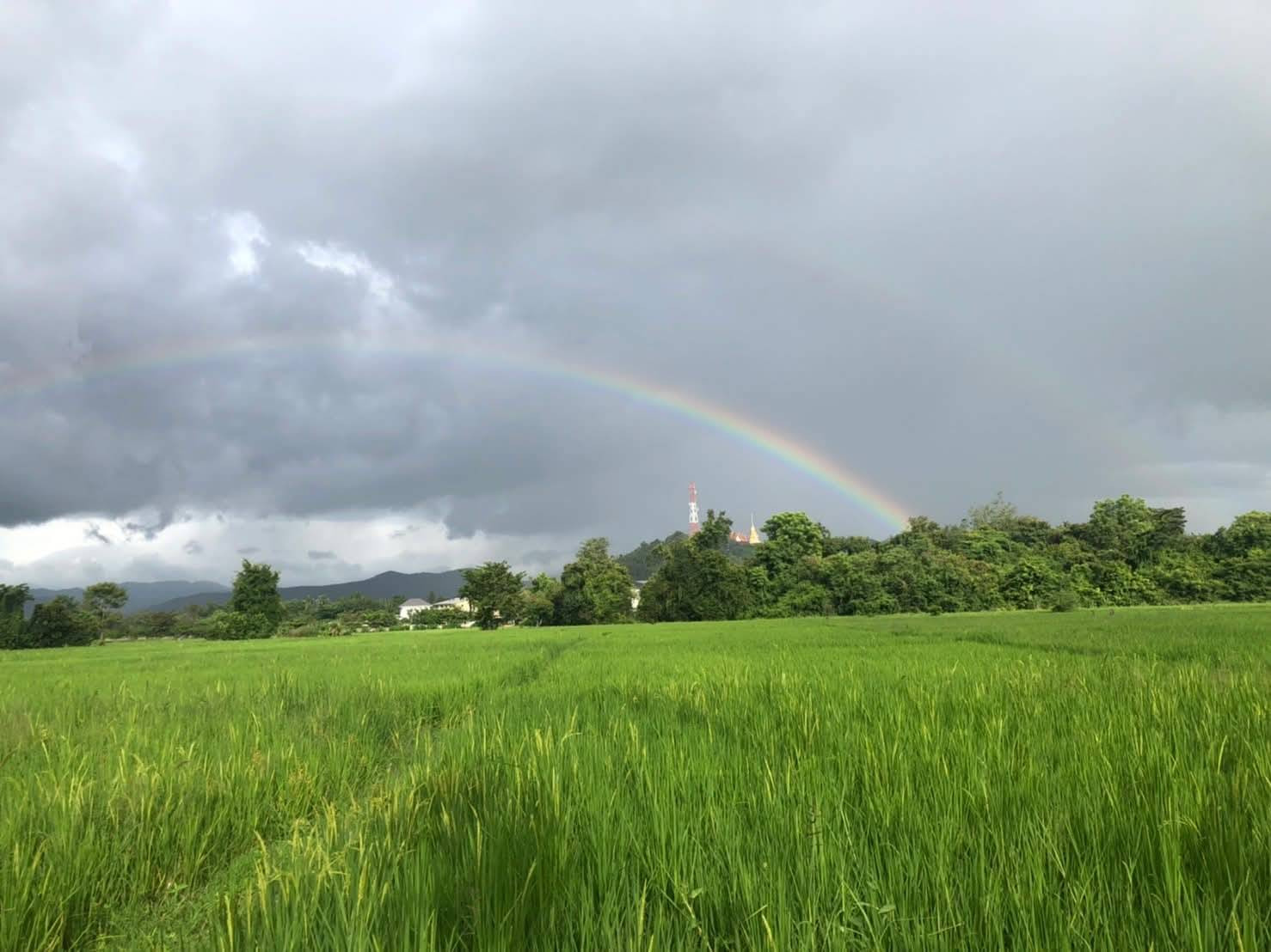 Beautiful large plot of land for sale, 26-3-47 rai, Doi Tao, Chiang Mai. – รูปที่ 3