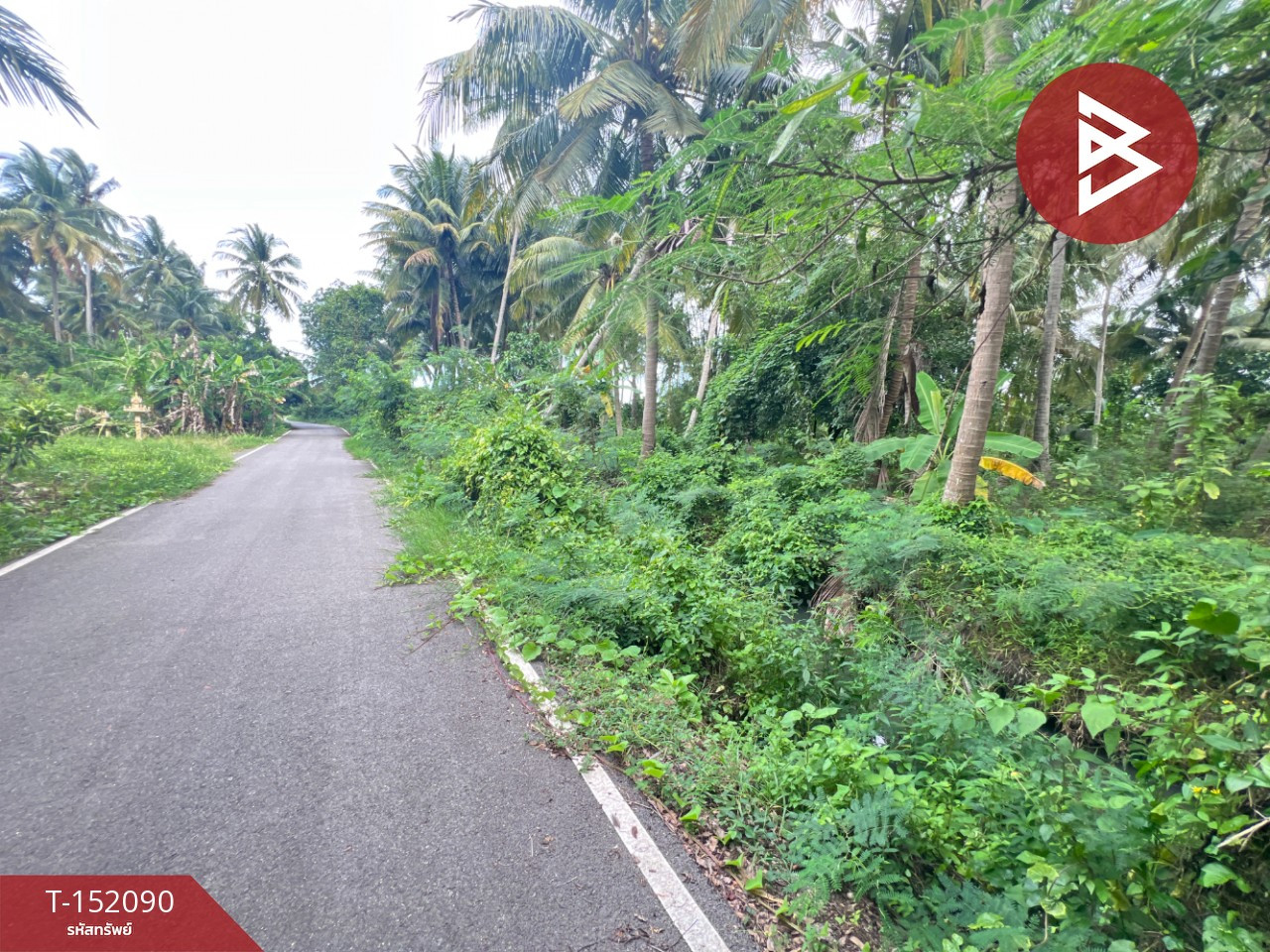 Land for sale, area 3 rai 2 ngan 61 sq m, Bang Khonthi, Samut Songkhram. – รูปที่ 2