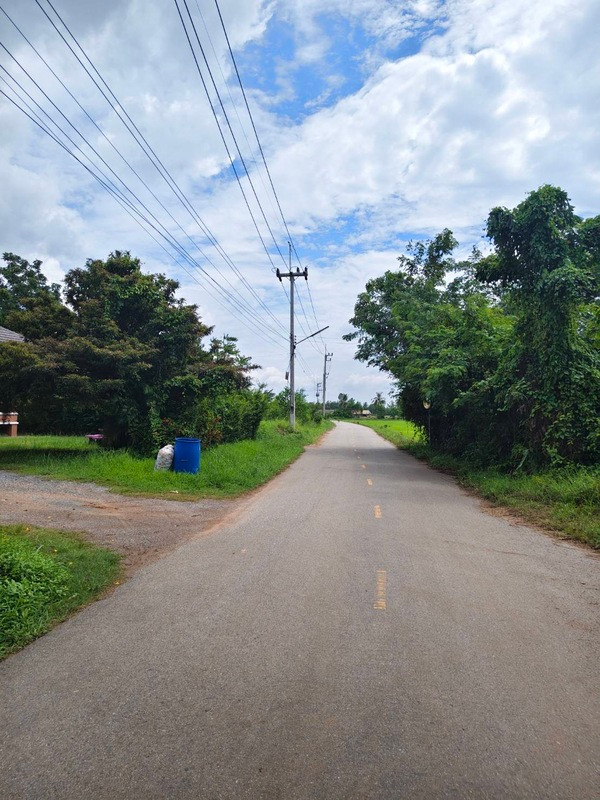 Beautiful plot of land facing a paved road. – รูปที่ 4