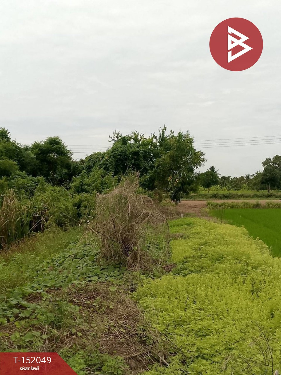 ขายที่ดิน เนื้อที่ 1 ไร่ ราษฎร์นิยม นนทบุรี ขายที่ดิน เนื้อที่ 1 ไร่ ราษฎร์นิยม นนทบุรี